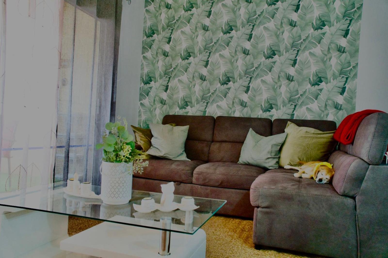 Heart And Soul Apartment 산미겔데아보나 외부 사진